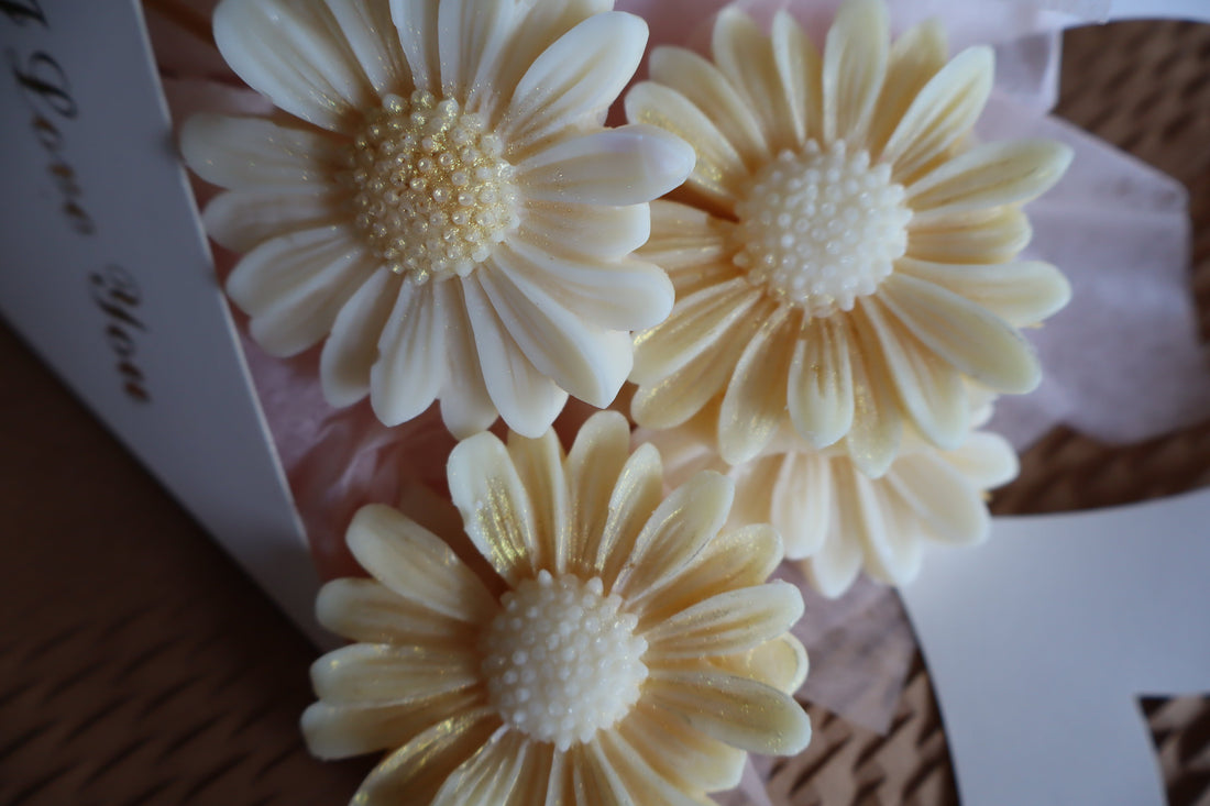 White and yellow daisy soy melts